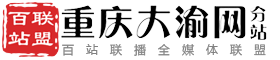 百站联盟-重庆大渝网